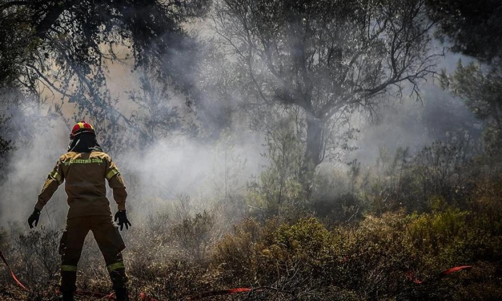 Φωτιά σε δασική έκταση στην Αμφιλοχία - Σηκώθηκαν εναέρια μέσα